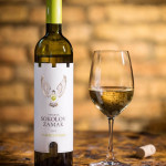 Соколов Замак