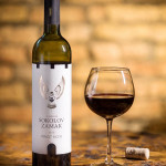 Соколов Замак