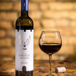 Соколов Замак