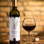 Соколов Замак