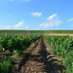 Соколов Замак