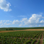 Соколов Замак